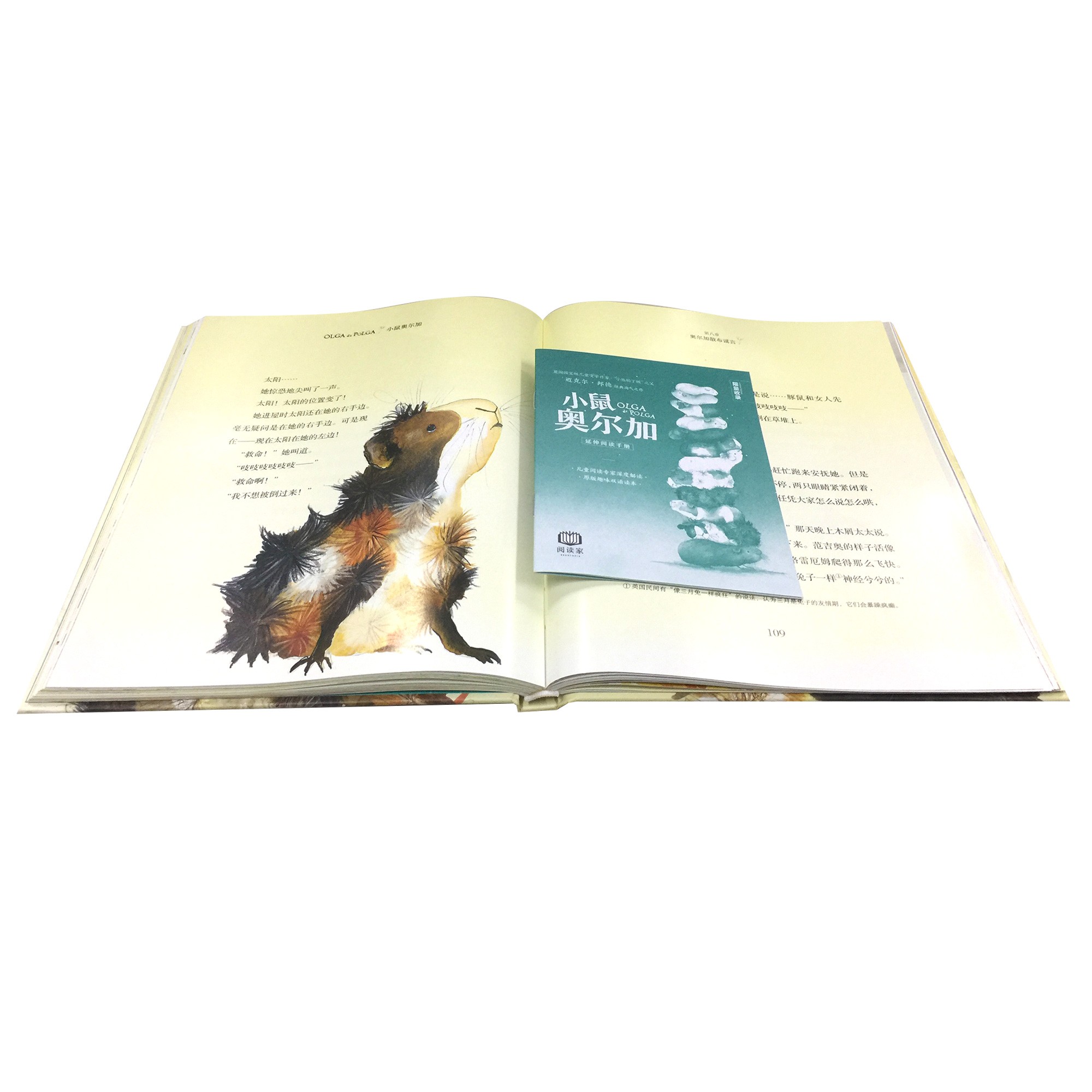 1d3013981a78832 1d3013981a78832