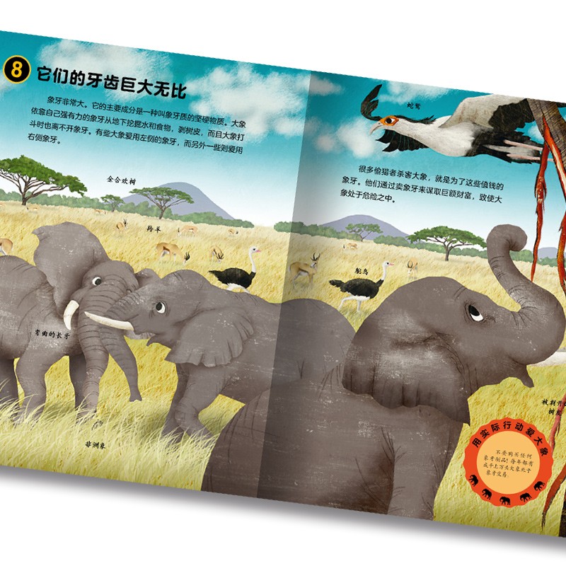 1db48350eafc74c 1db48350eafc74c