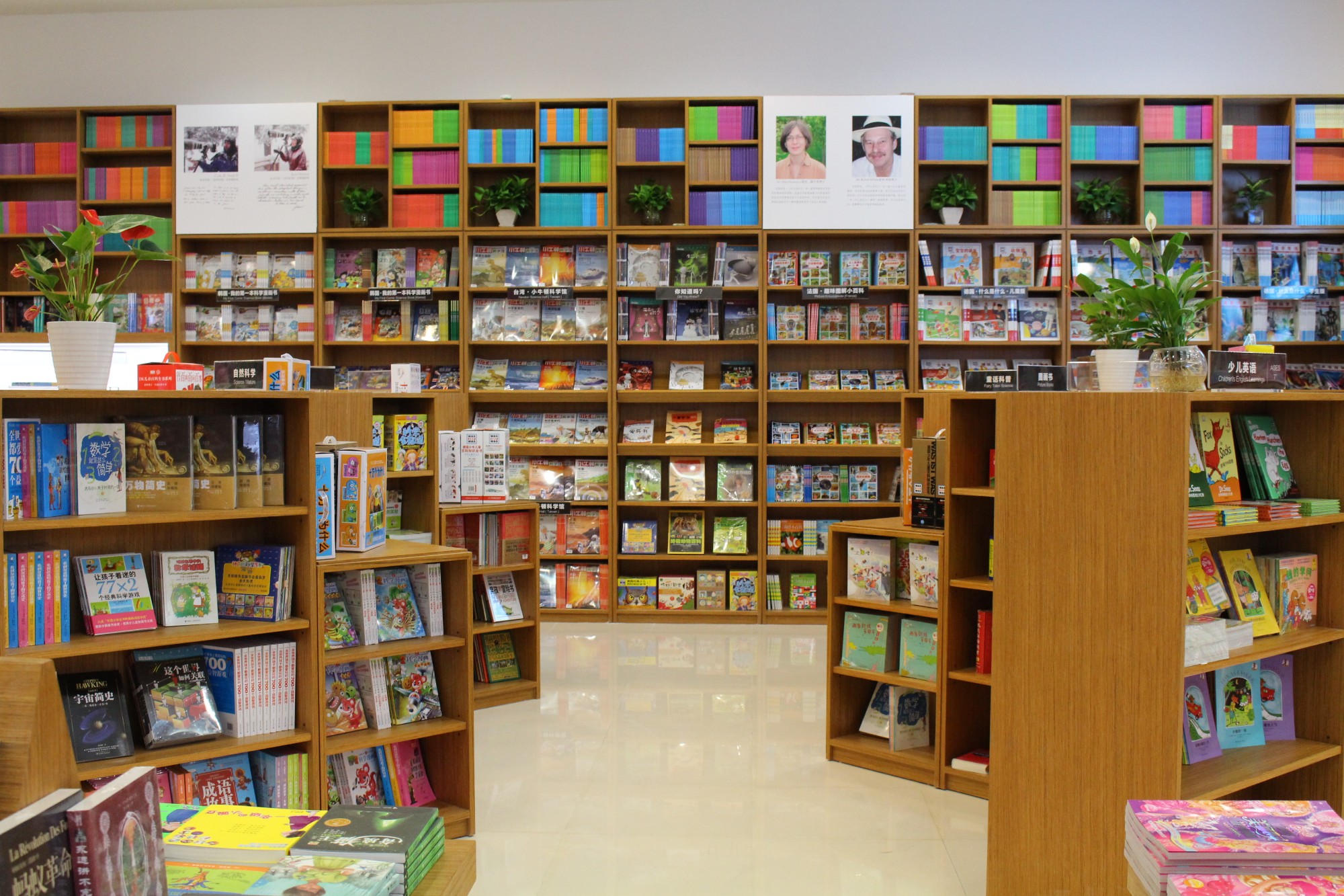 �ٲ�cbin99���ʶ�֮ͯ�ŵ�ó��