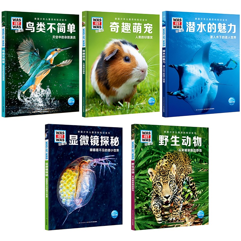 4c2f11ea85a4842 4c2f11ea85a4842