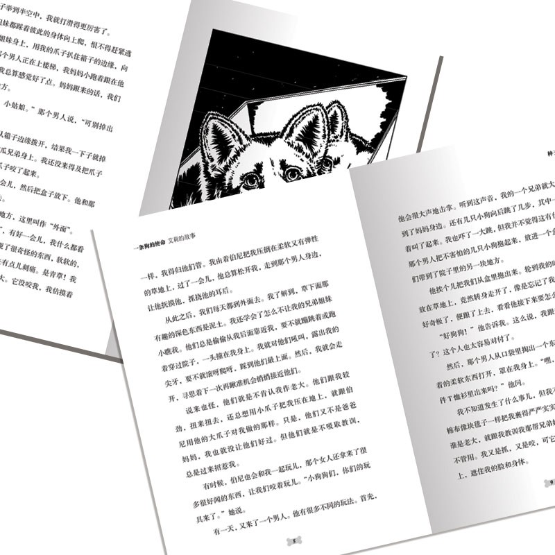 52e8b22ecf8e6ff 52e8b22ecf8e6ff