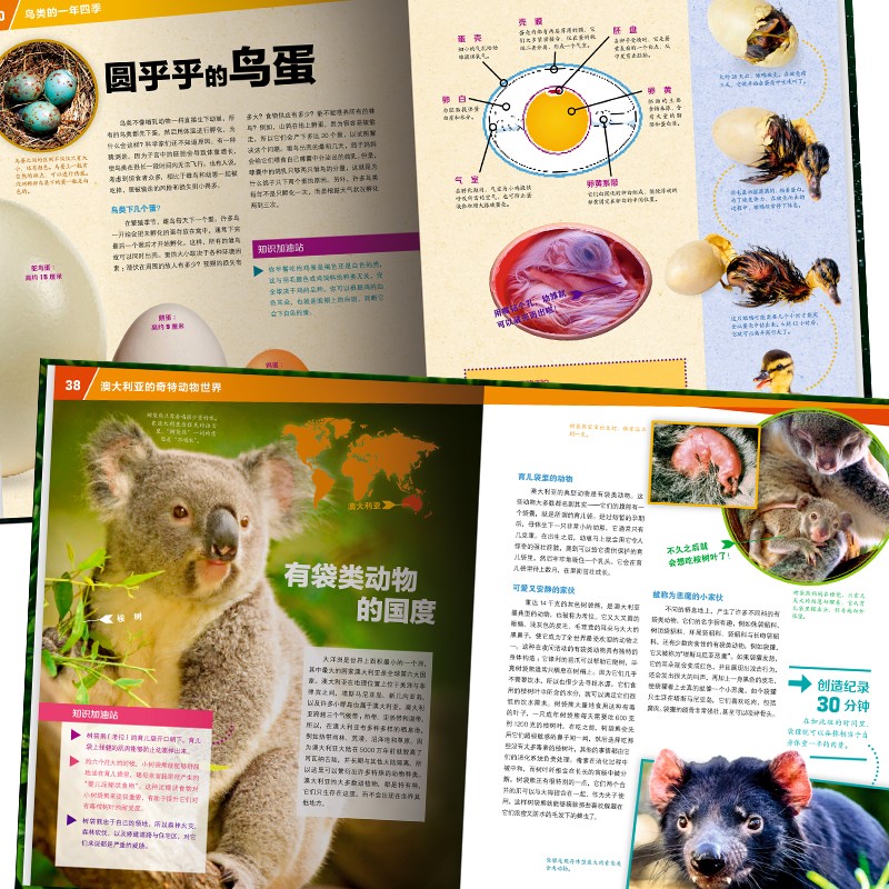 60d33f1bb0083f 60d33f1bb0083f