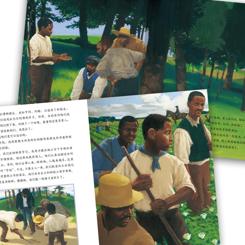 61a5677a4061786 61a5677a4061786