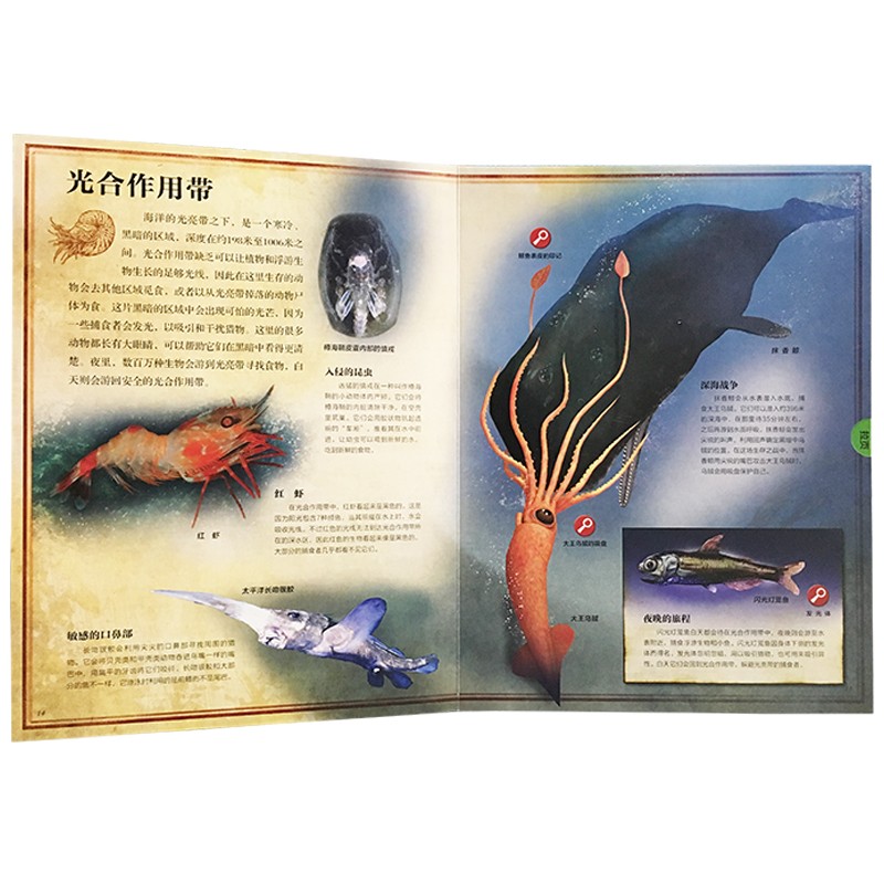 621c4d06ffffe6f 621c4d06ffffe6f