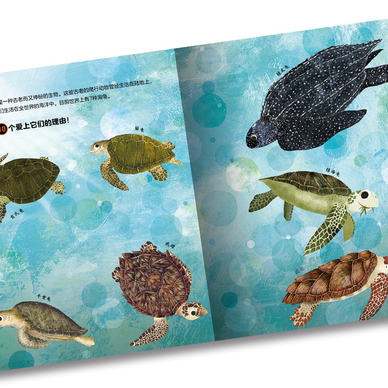 679ad66aa62c59a 679ad66aa62c59a