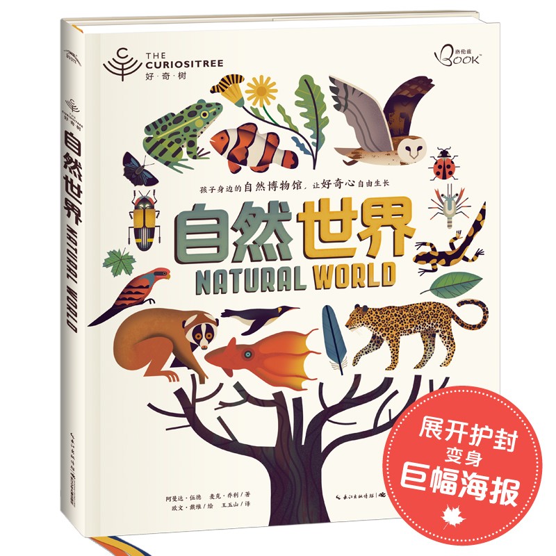 ����������Ȼ����