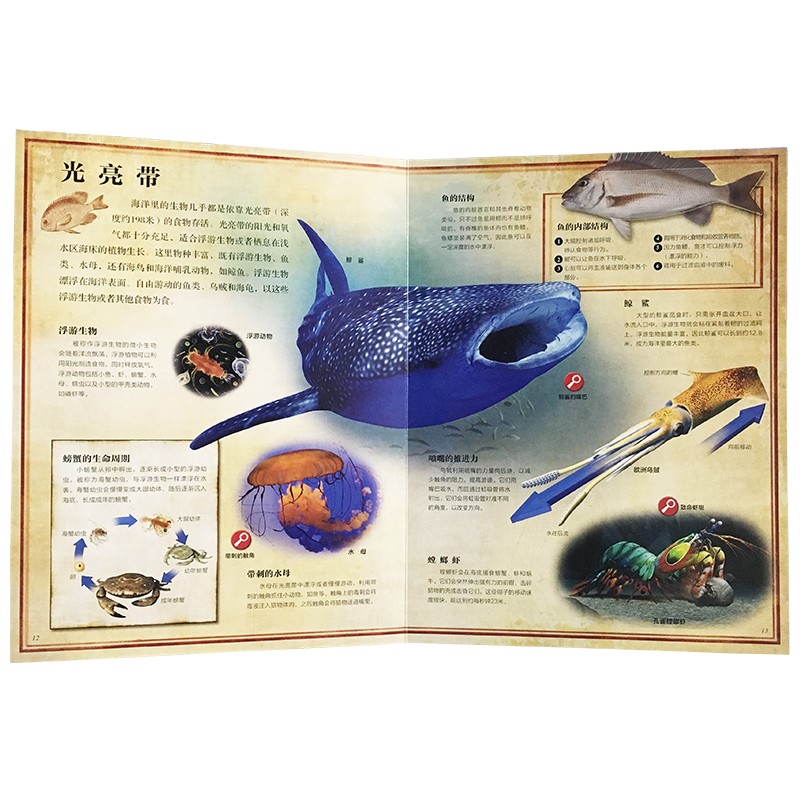 81f0a5a663892bf 81f0a5a663892bf