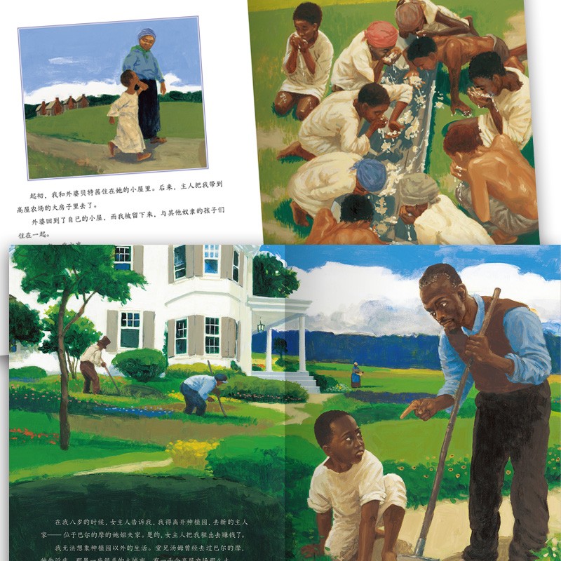 8c08d318034bf0d 8c08d318034bf0d