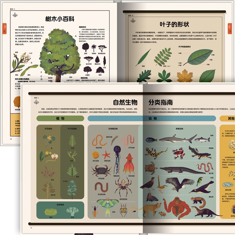 c8309d0a1d00e16 c8309d0a1d00e16