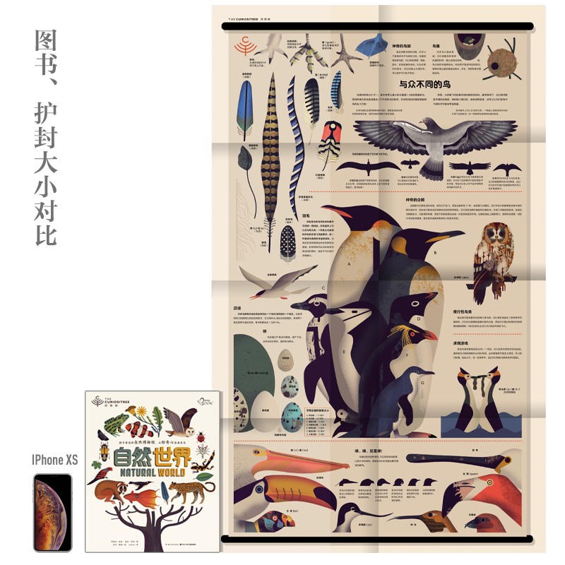 dcc854a873abd67 dcc854a873abd67