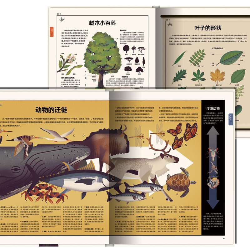 e35be941285e04f e35be941285e04f