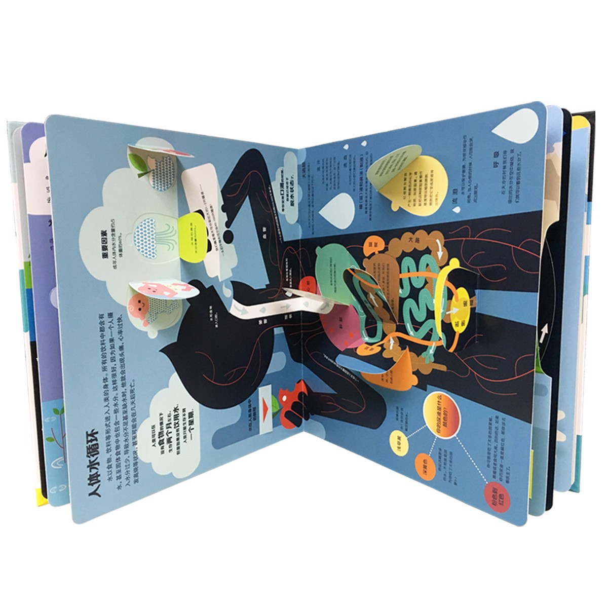 e9de1c46d1cb437 e9de1c46d1cb437