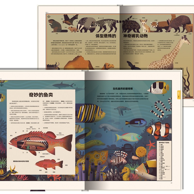 f4042065f15f53e f4042065f15f53e