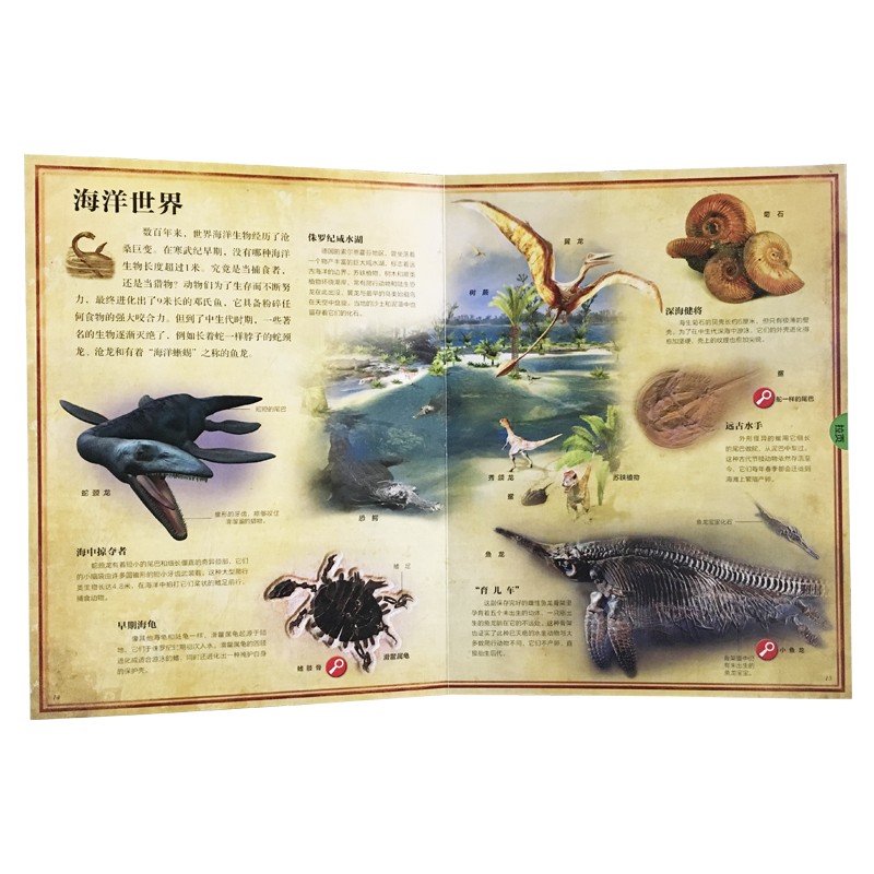 fd3b18904444f fd3b18904444f