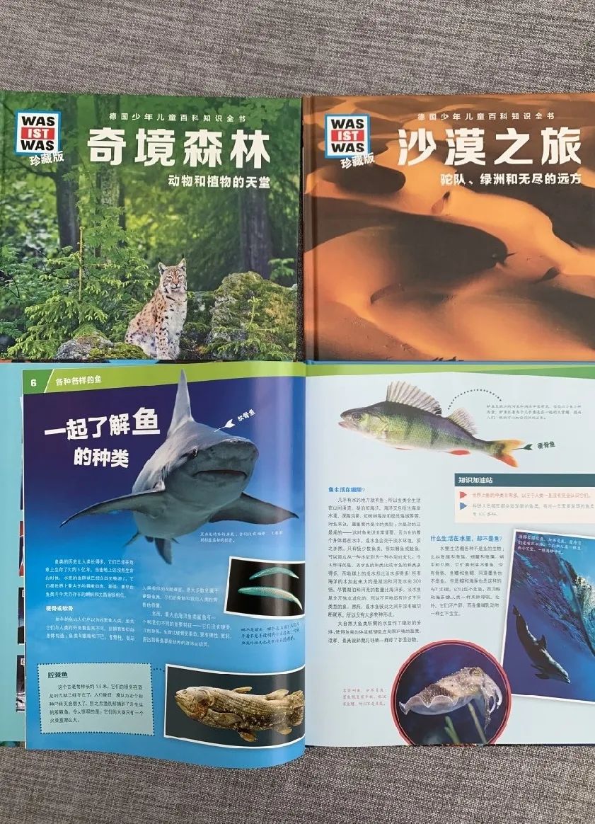 ΢��ͼƬ_20201215104253